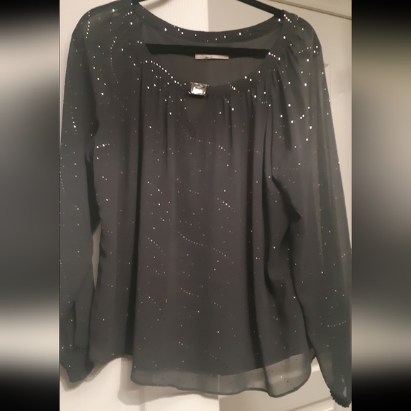 Billie & Blossom Gray Chiffon Lined Sparkle Blouse L/XL - Picture 9 of 9